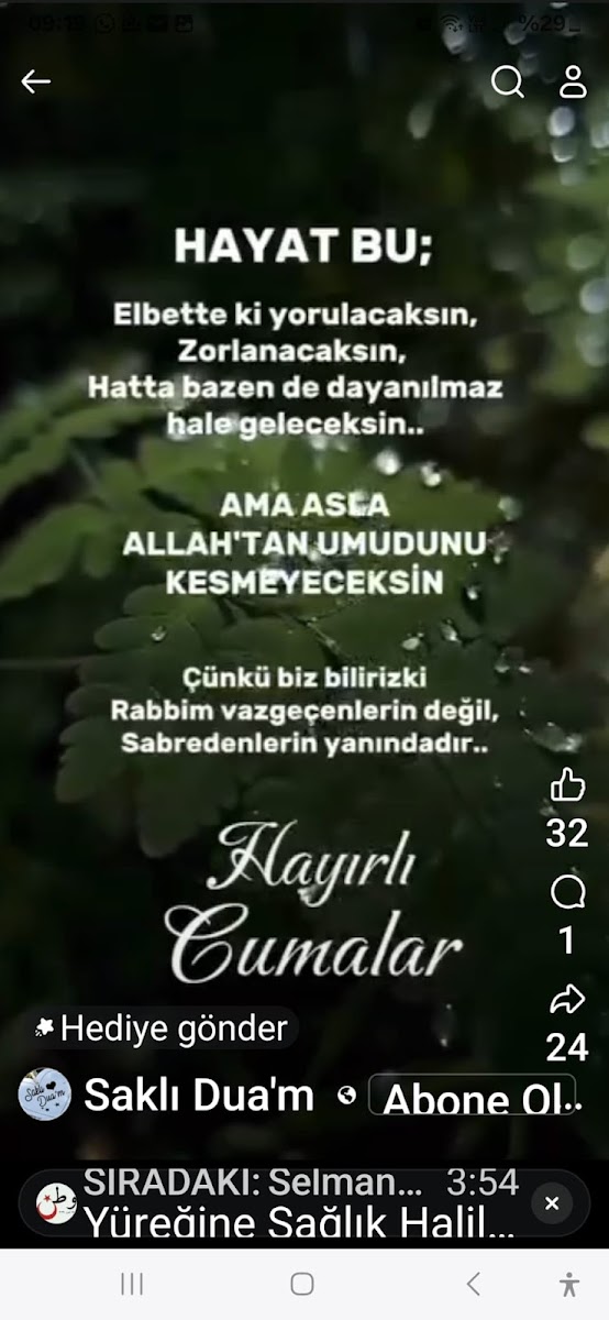 Yeşilçam Bahçe — fotoğraf 4