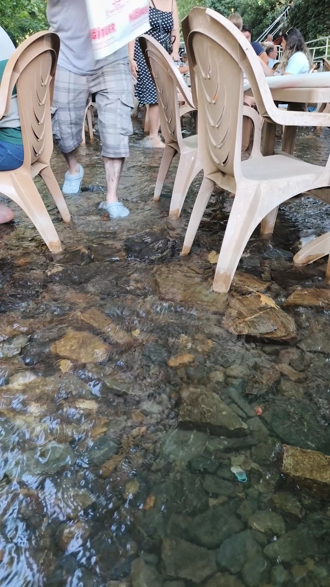 Yiğitler piknik ve mesire alanı — photo 2