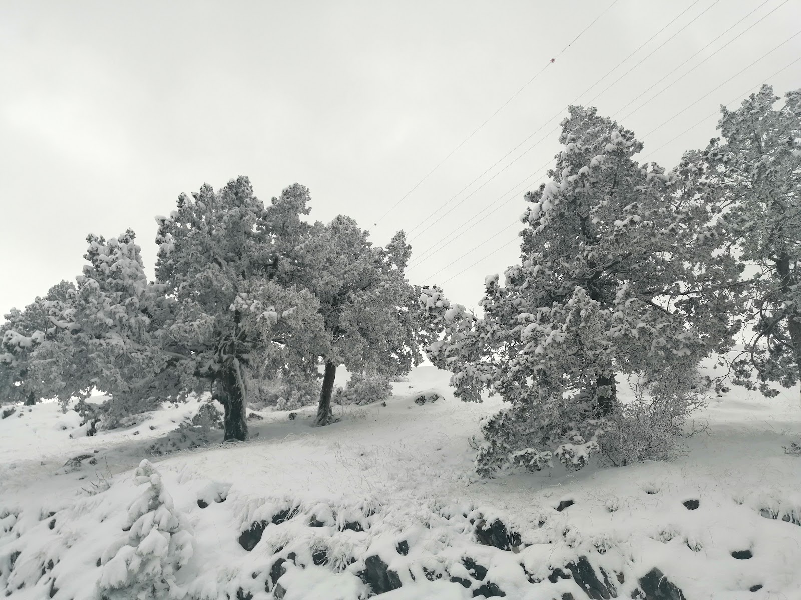 Yılanlı Dağ — photo