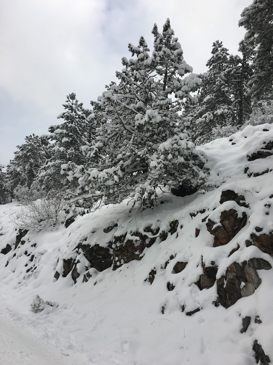 Yılanlı Dağ — photo 2