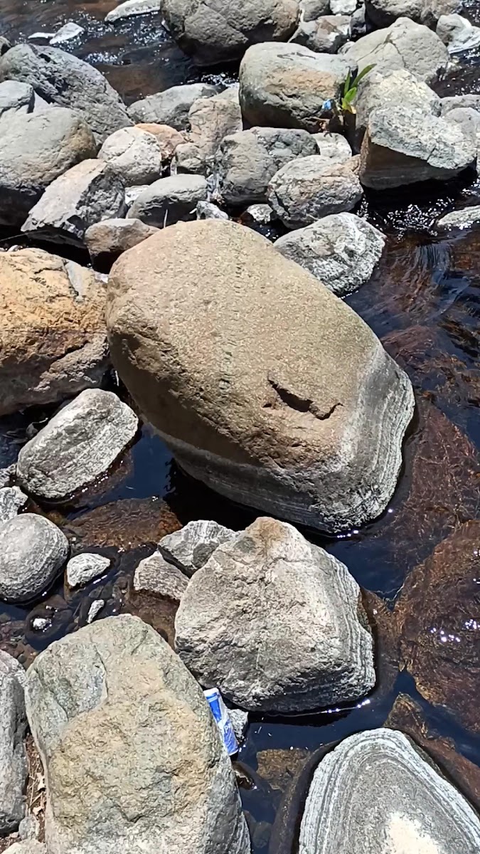 Yıldırım Mesire Alanı — fotoğraf 3