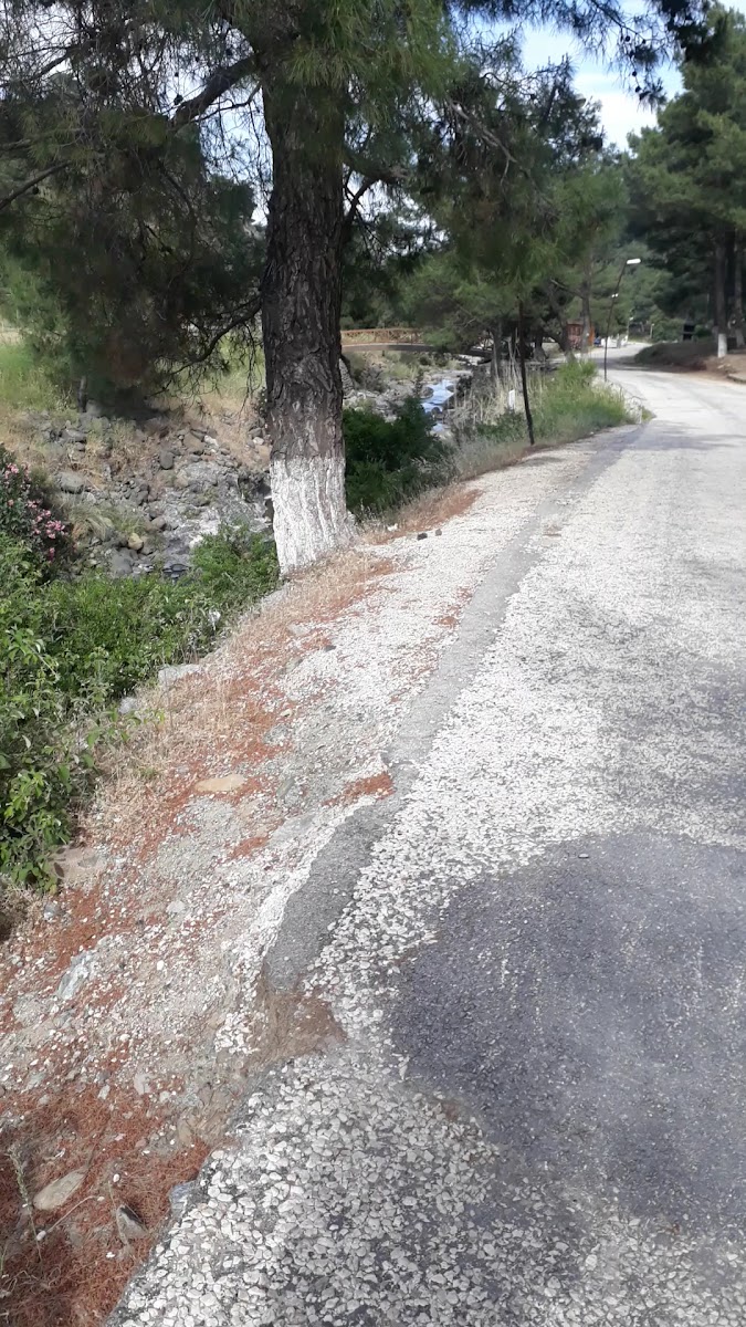 Yıldırım Mesire Alanı — fotoğraf 4