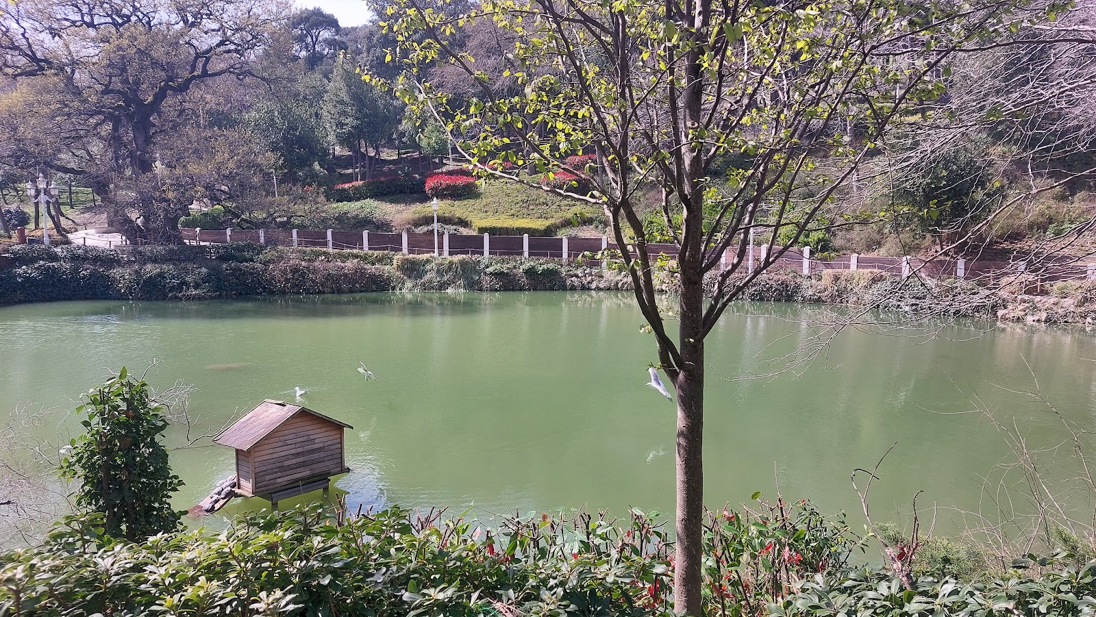 Yıldız Parkı — fotoğraf 2