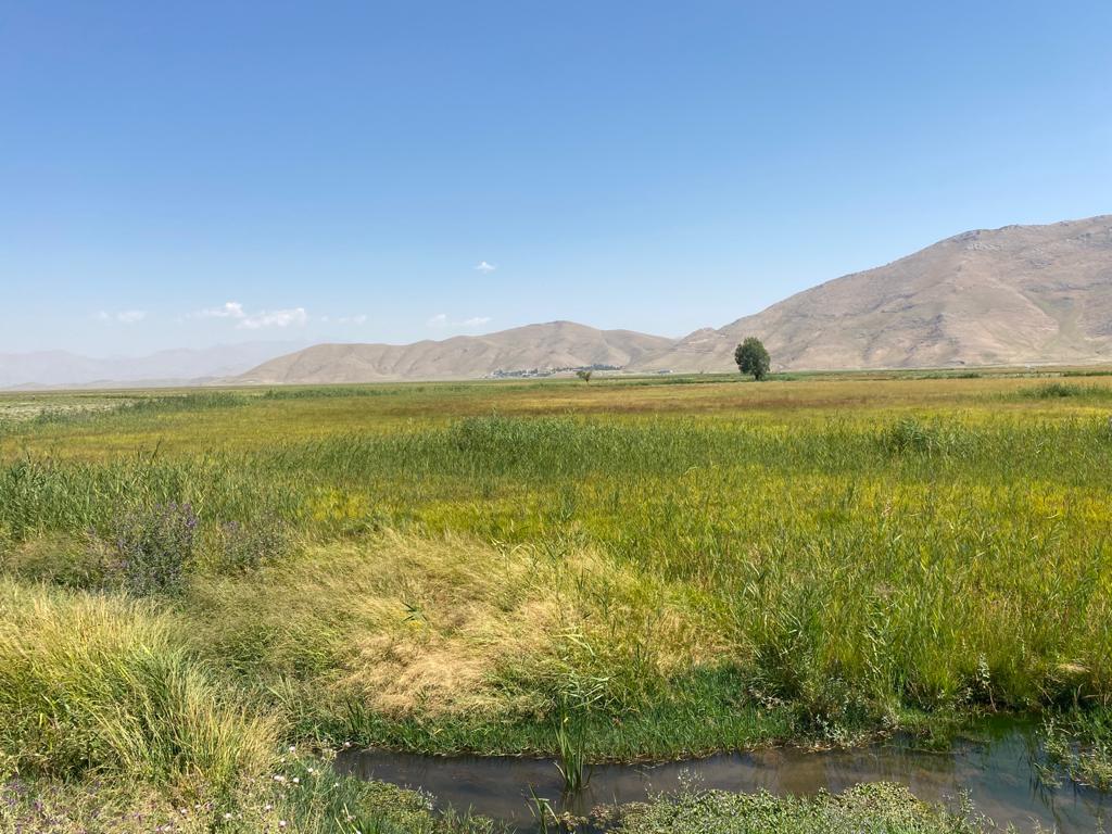 Yüksekova nehil sazlığı sulak alanı — fotoğraf 2