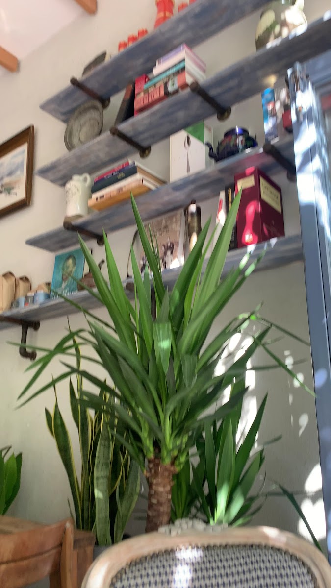 YUMMA — fotoğraf 5