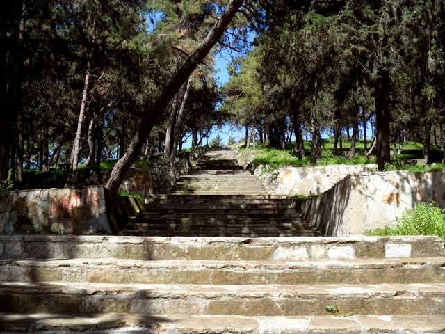 Yumuktepe Höyüğü — photo 4