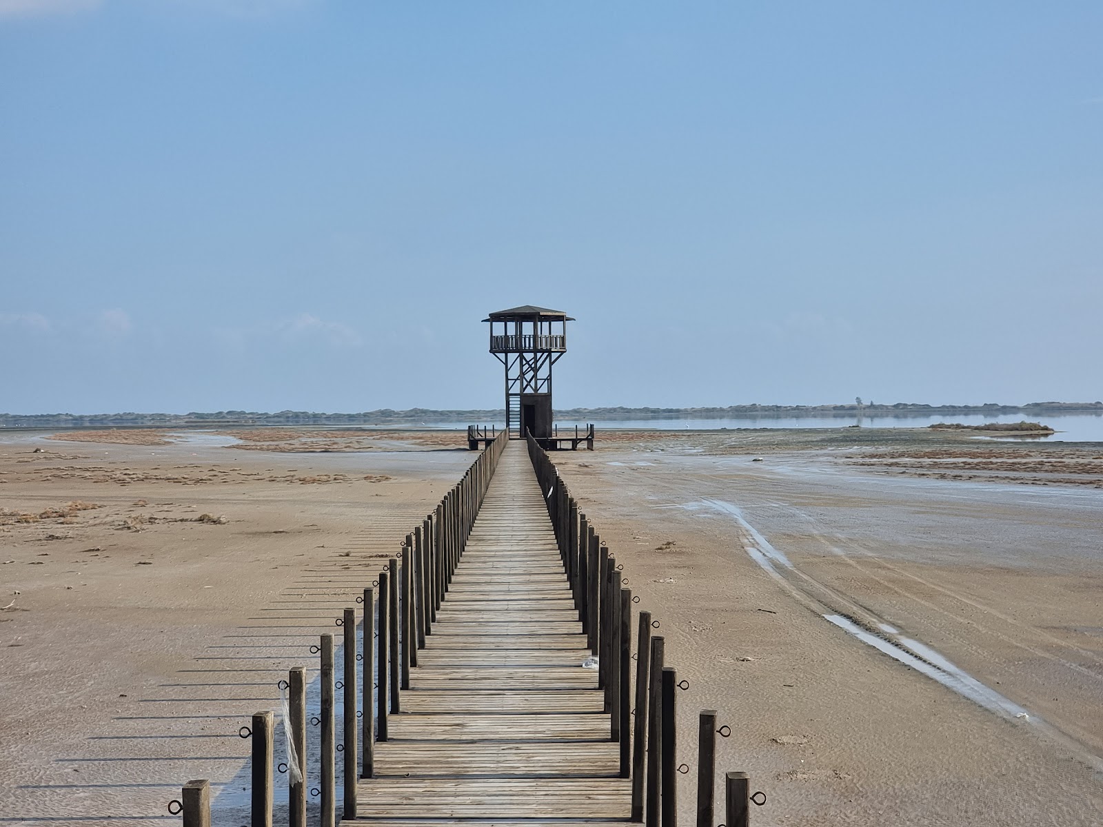 Yumurtalık Lagünü Milli Parkı — photo 3