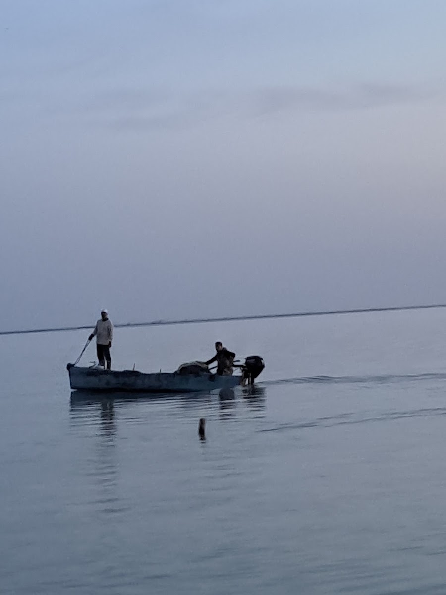 Yumurtalık Lagünü Milli Parkı — photo 4