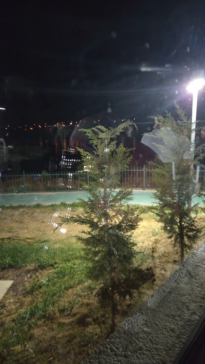 Yunus Emre Millet Bahçesi — photo 2