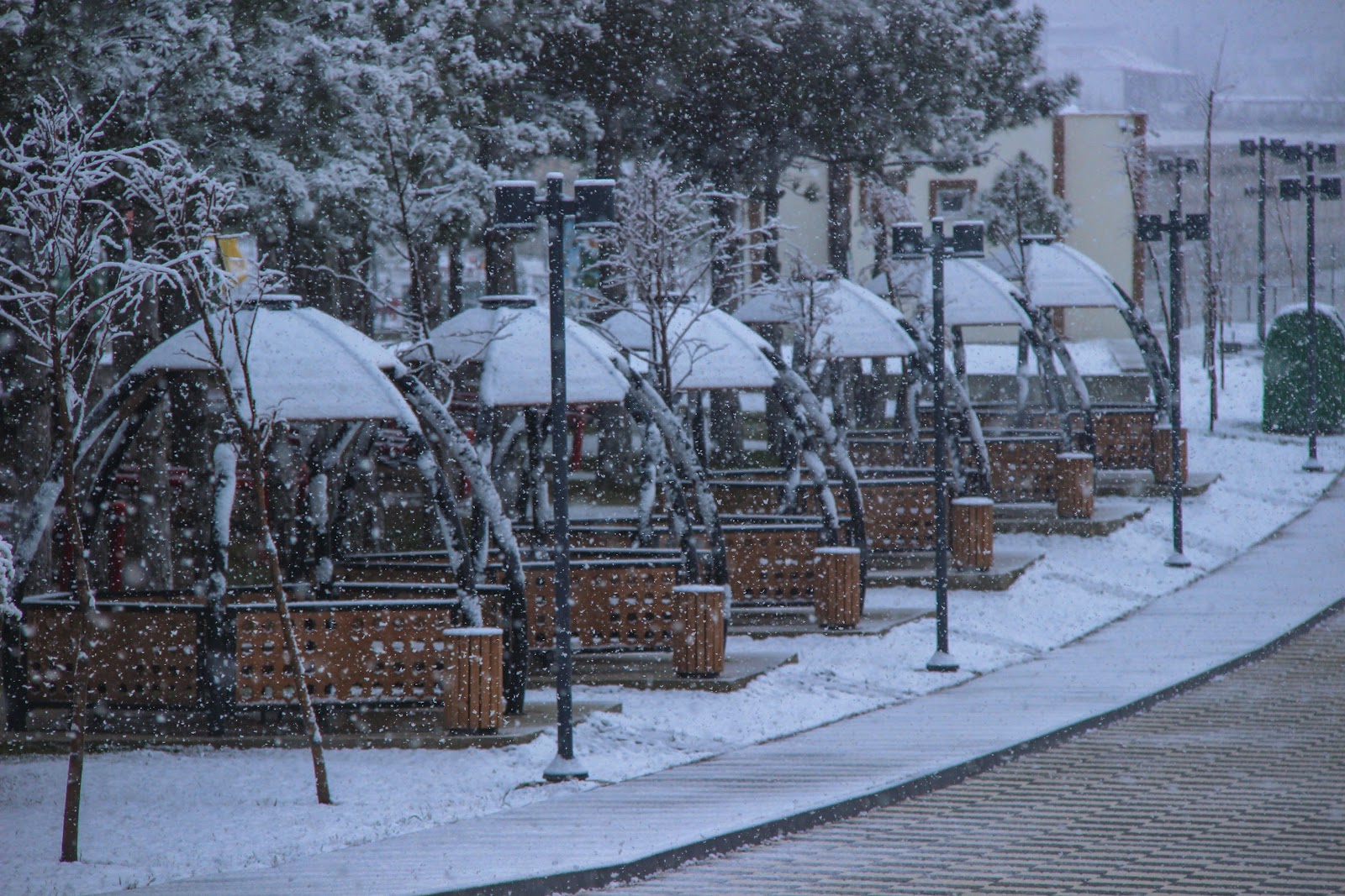 Yunus Emre Millet Bahçesi — photo 5