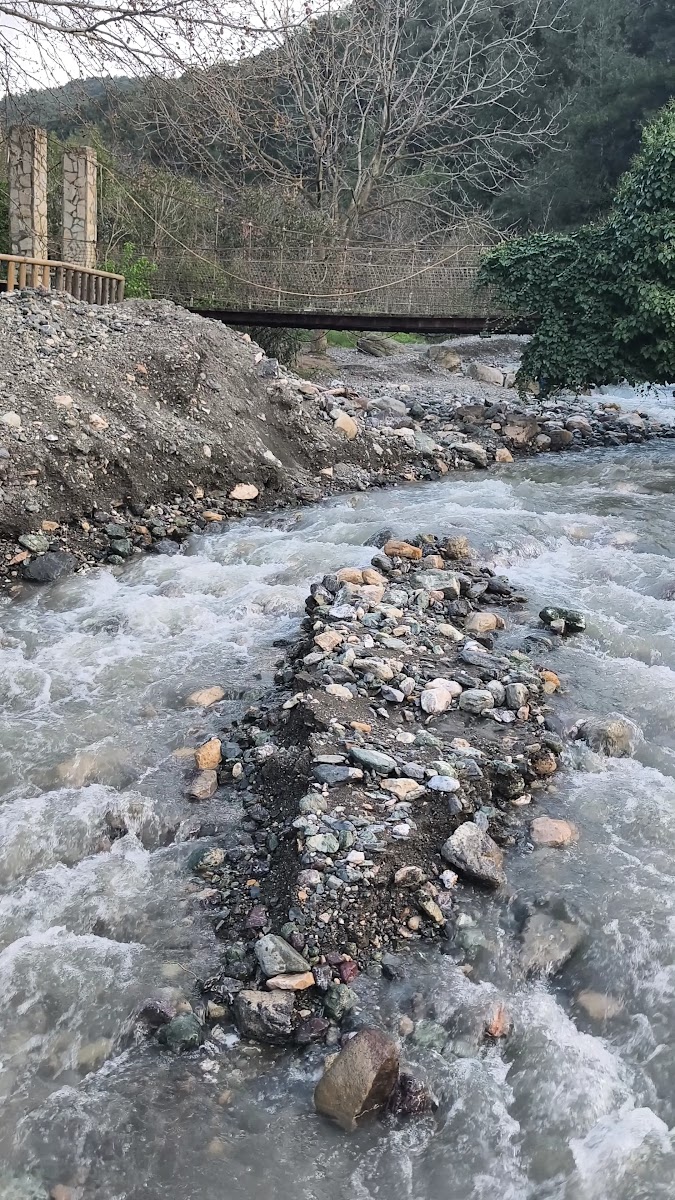 Yunus Park Mesir Tabiat — fotoğraf 2