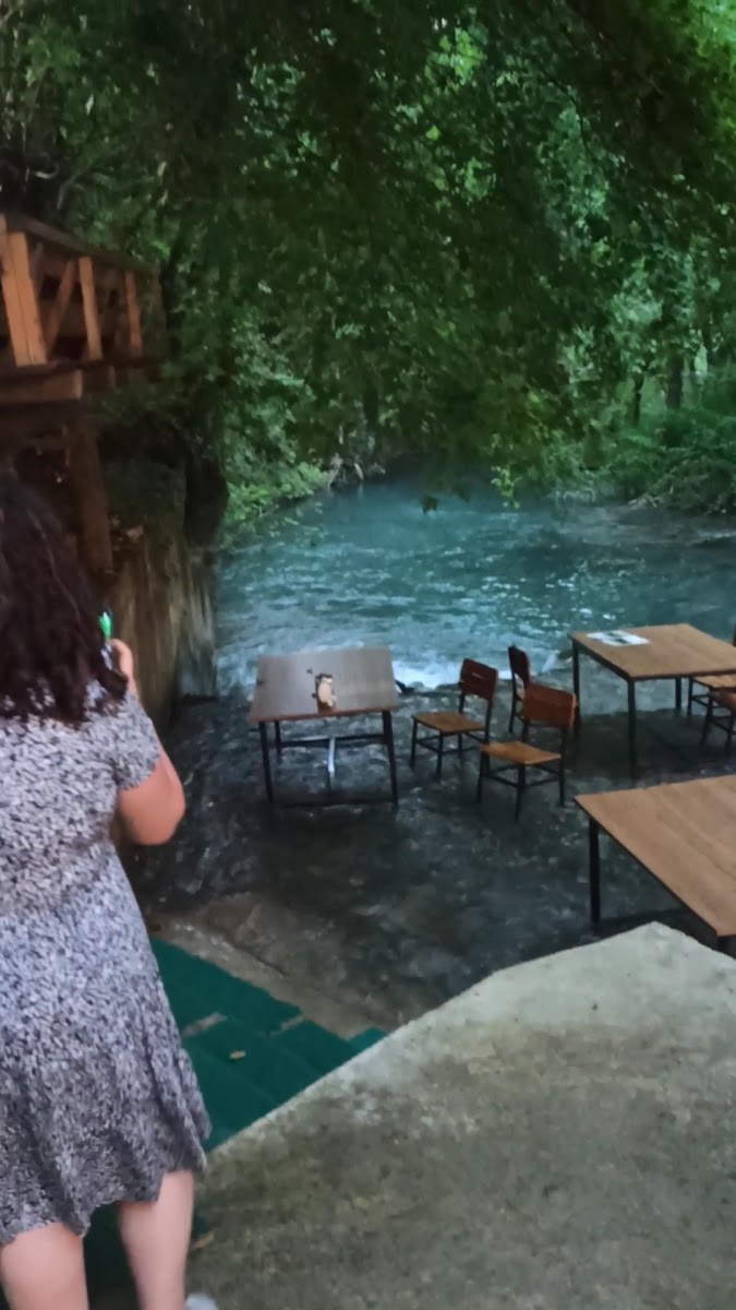 PINAR YUVARLAK ÇAY DOĞO RESTORAN — fotoğraf 3