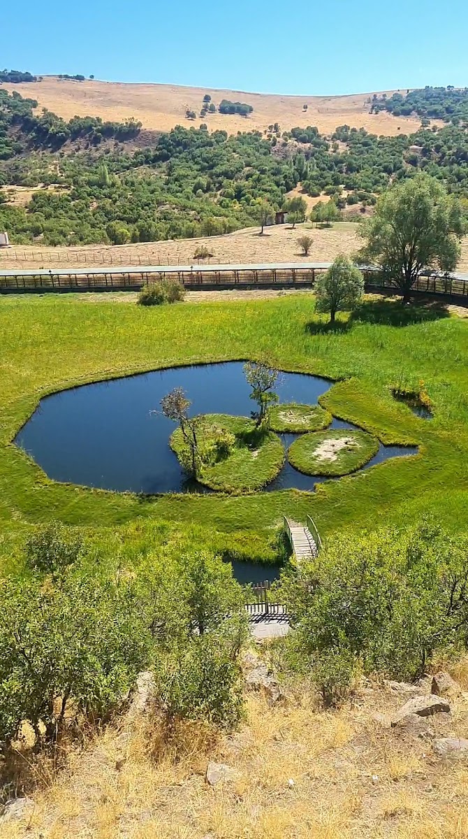 Yüzen Adalar Tabiat Anıtı — fotoğraf 2