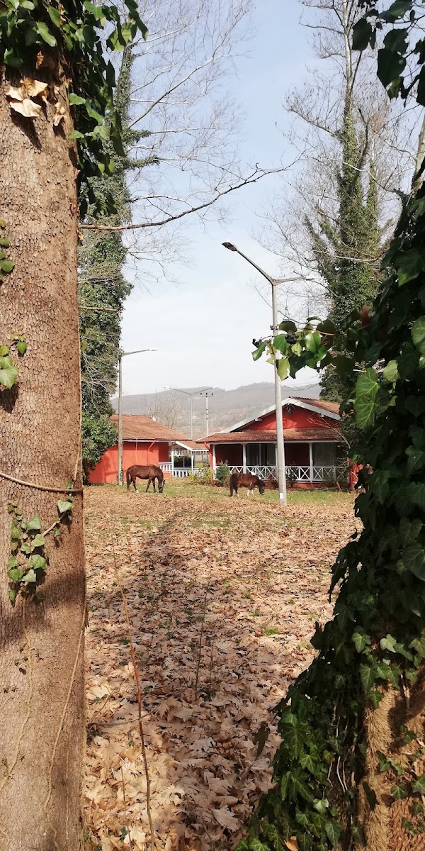 100. yıl Ecopark — fotoğraf 3