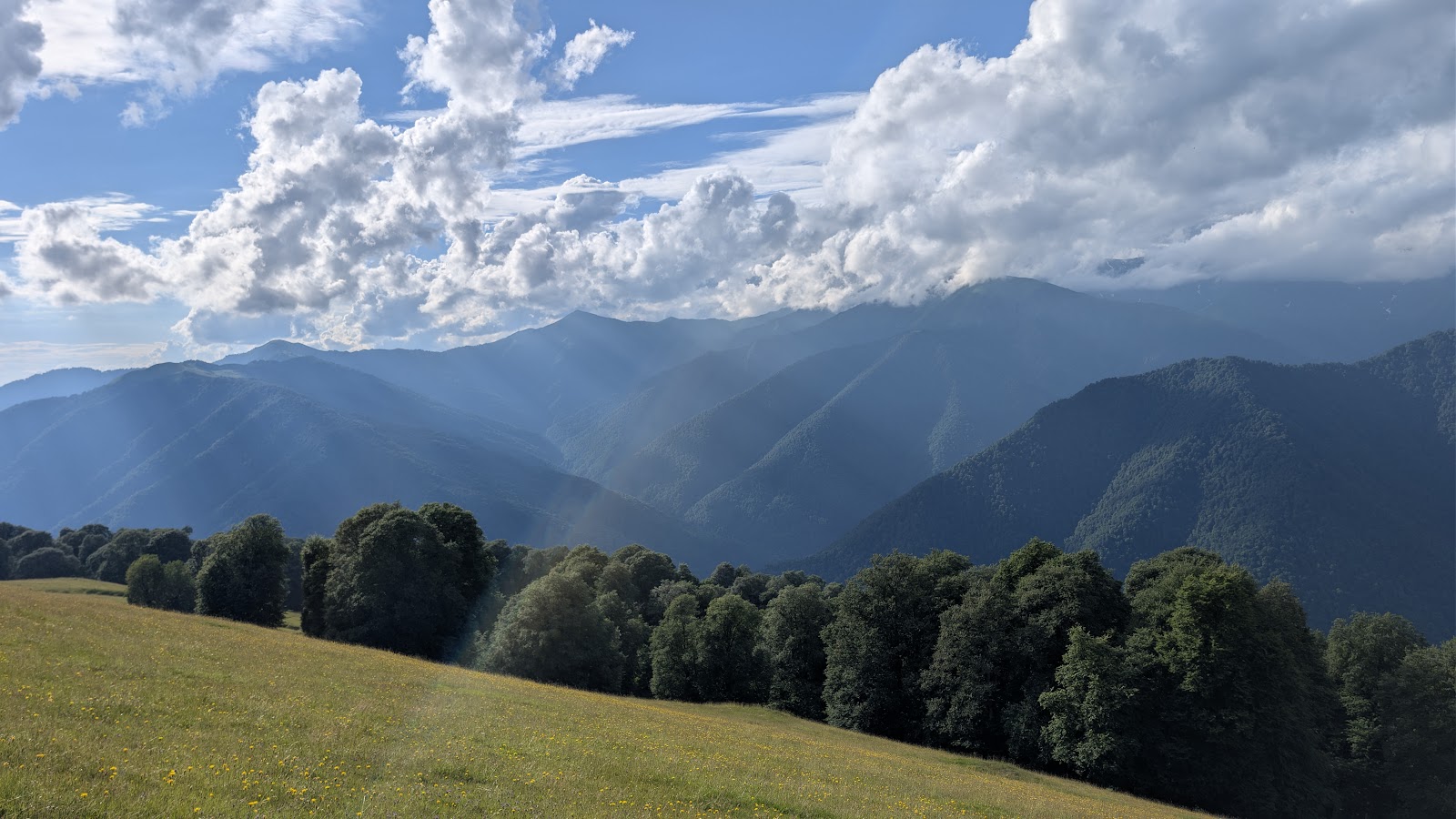 Zagatala State Reserve — photo
