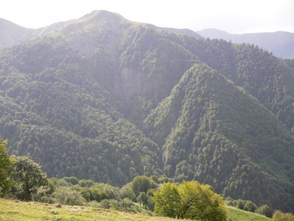 Zagatala State Reserve — photo 4