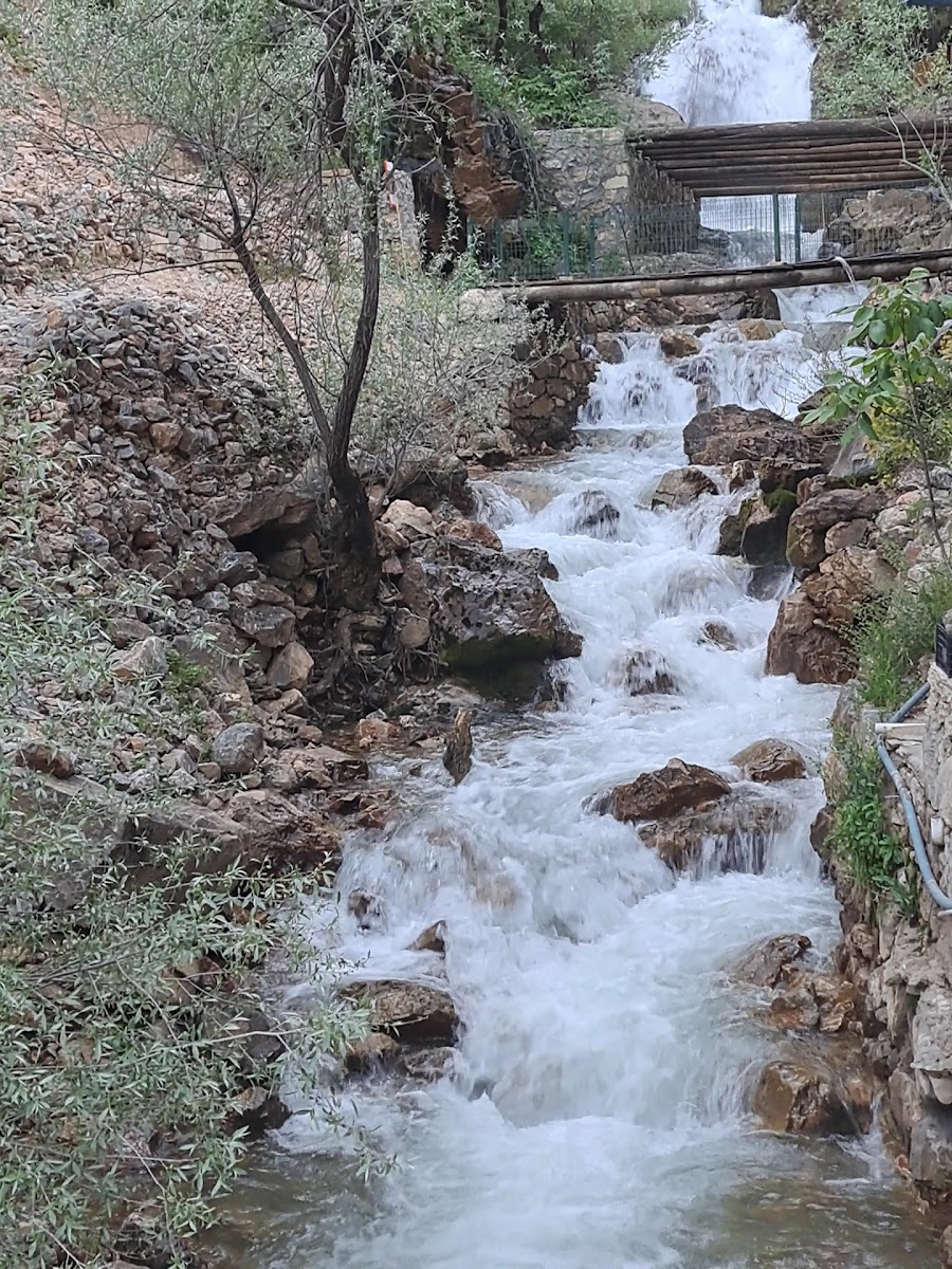 Zağge Restorant — fotoğraf 2