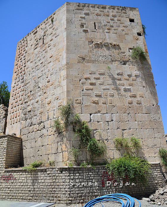 Zembilfroş Burcu — photo 2