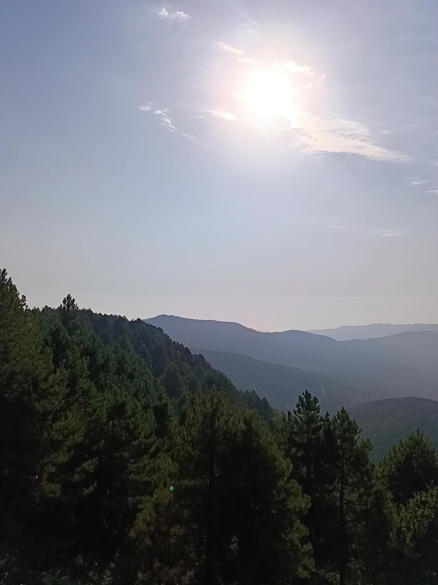 Zerkun Seyir Teras — fotoğraf 3