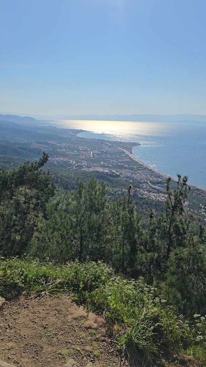 Zeus Altarı Girişi — photo 2