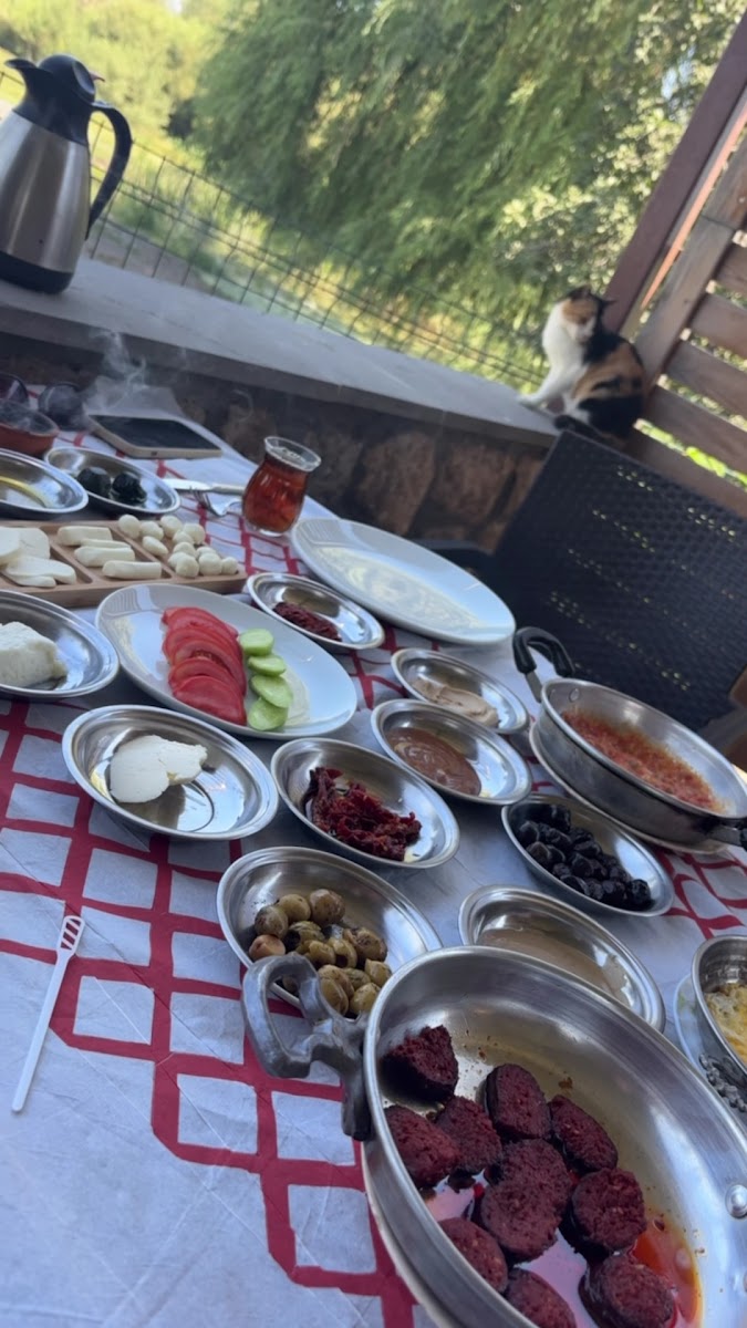 Zeynep hanımın çiftliği — photo 3