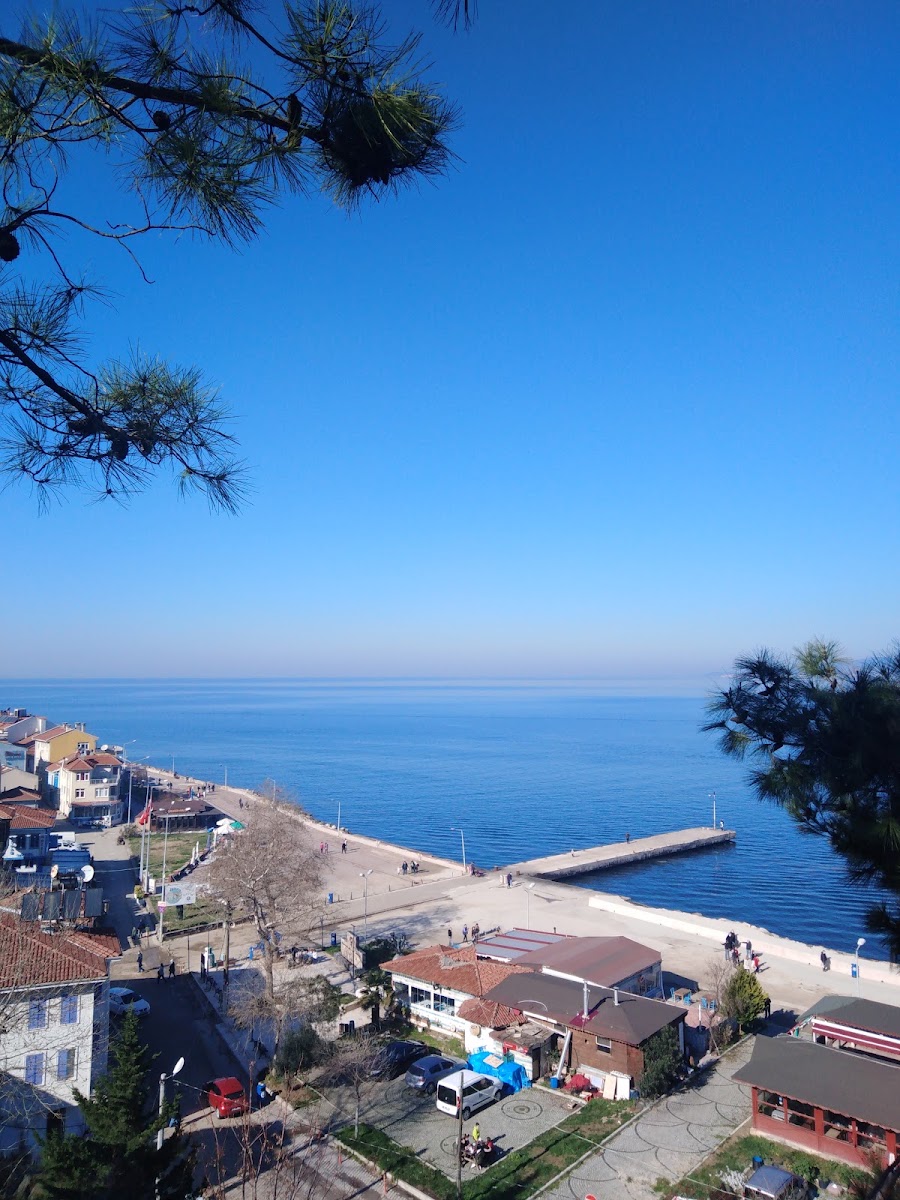 Zeytinbağı — photo 2