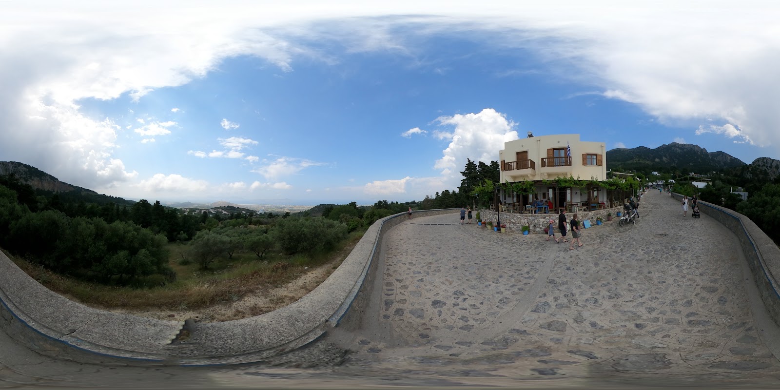 Zia — photo 5