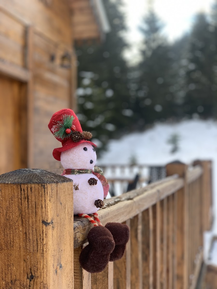 Zifin Hotel — fotoğraf 8