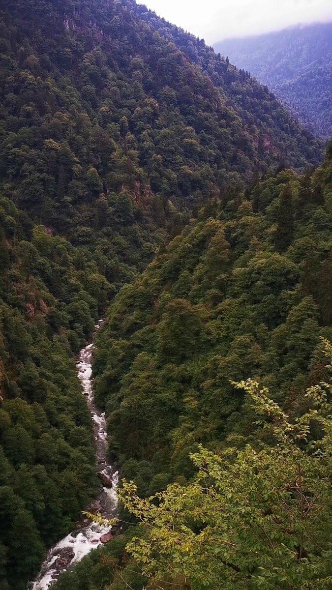 Zilkale — fotoğraf 3