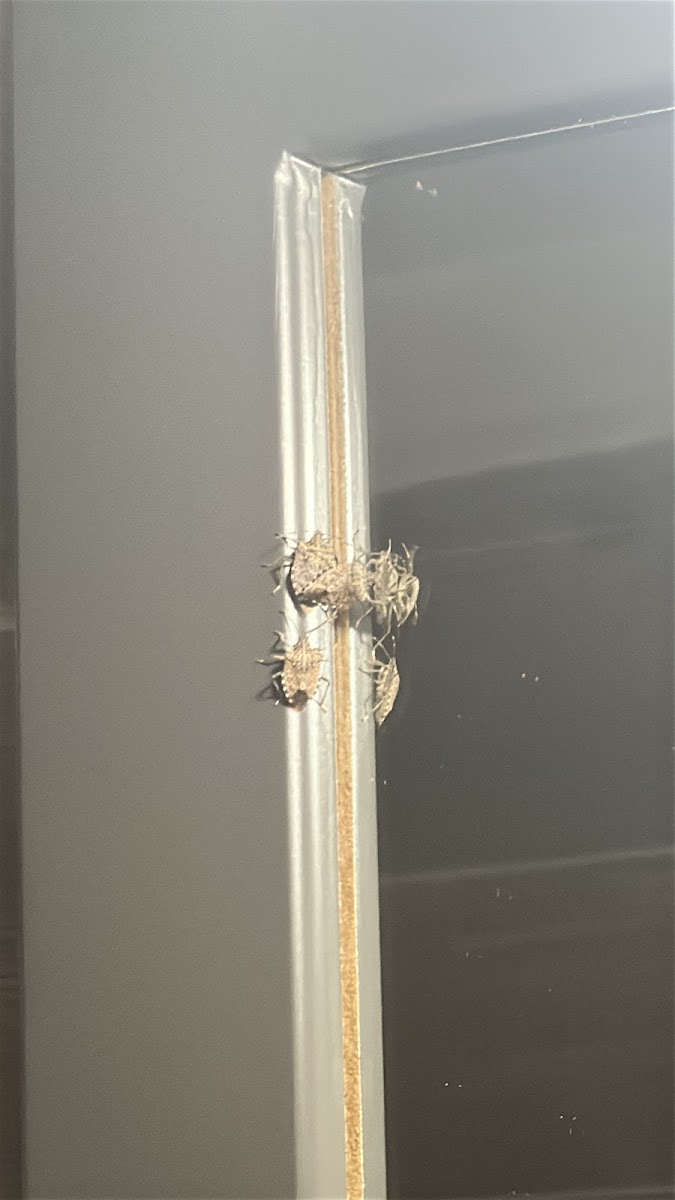 Zindan Bungalov — fotoğraf 2