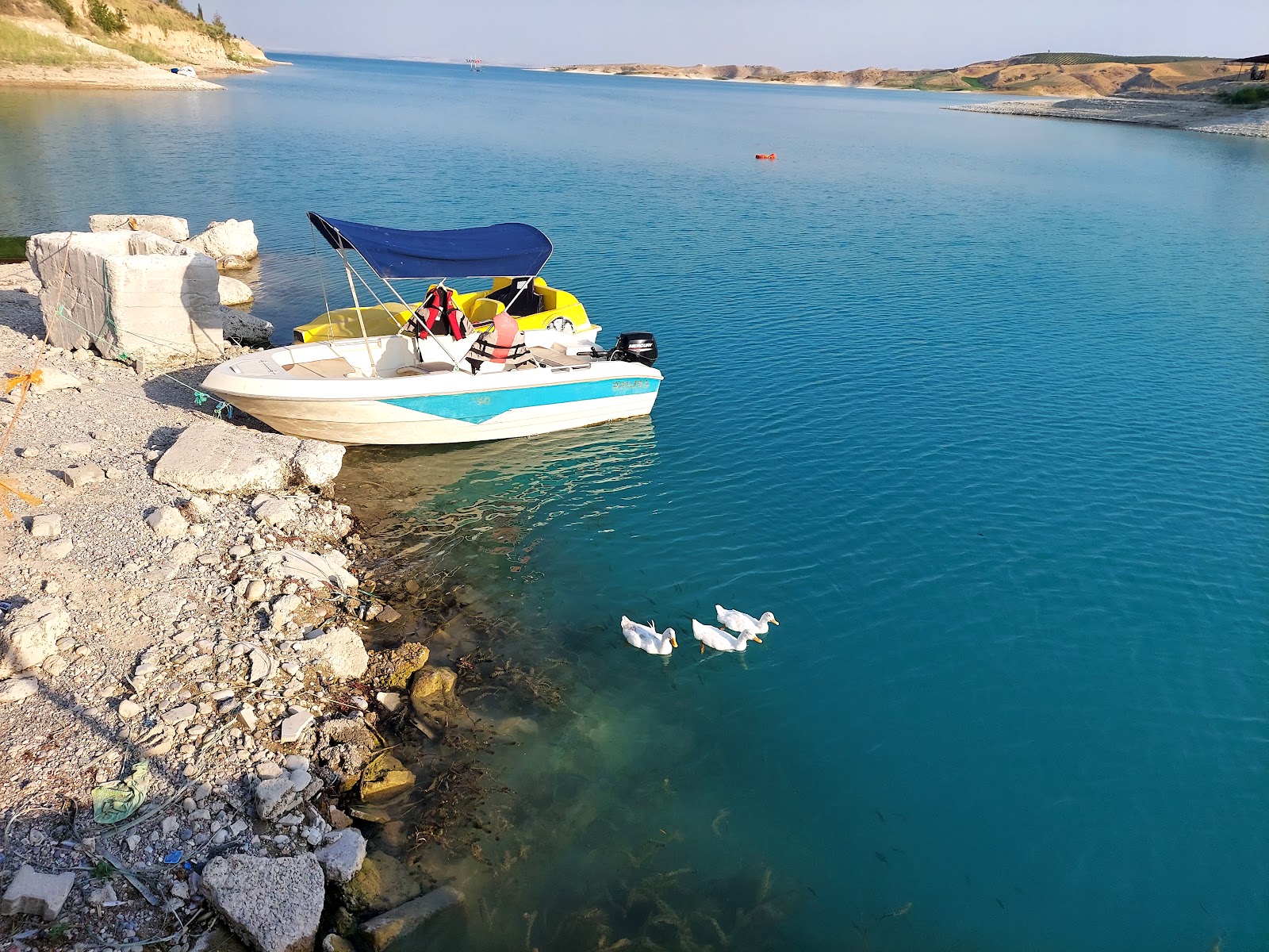 Zipline Samsat — fotoğraf 2