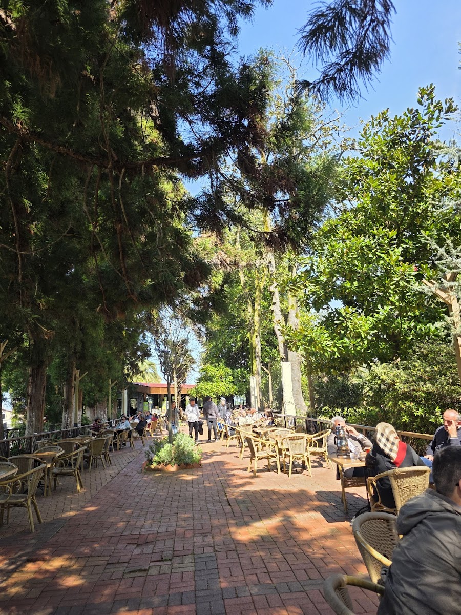 Ziraat Çay Bahçesi — fotoğraf 2