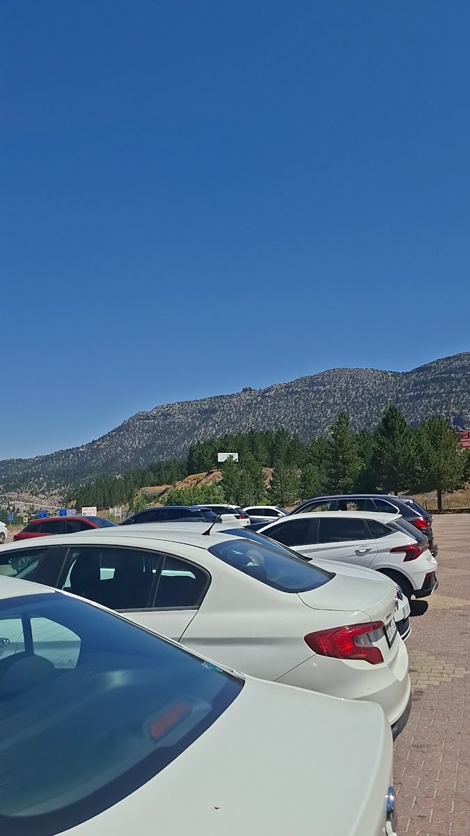 Zirve Tınaztepe Dinlenme Tesisleri — photo 3