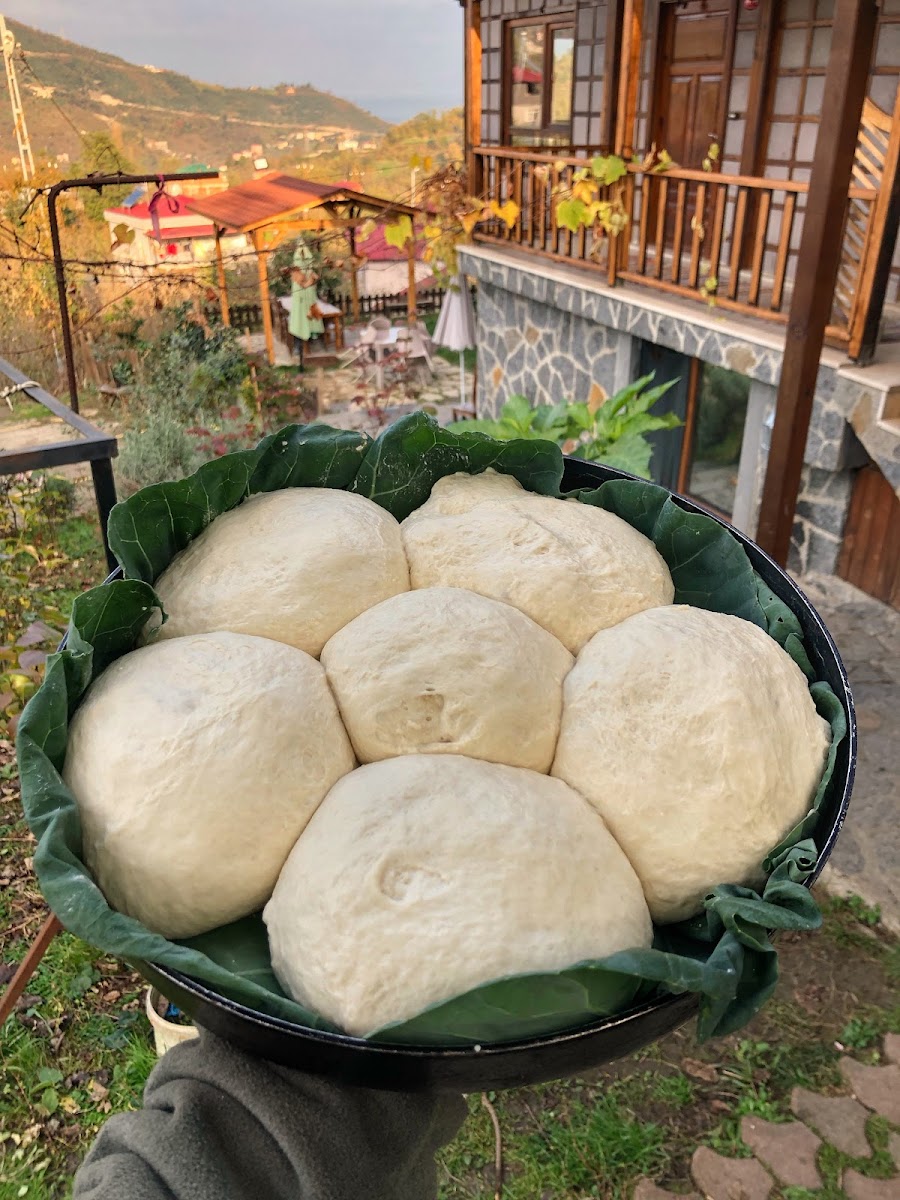 Zivera Köy Kahvaltısı ve Bungalov — fotoğraf 10