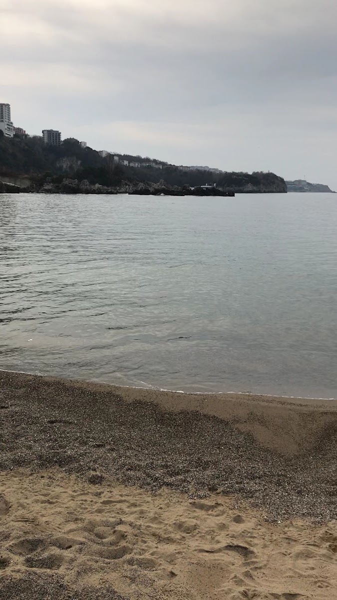 Zonguldak Belediye Kapuz Plajı — fotoğraf 4
