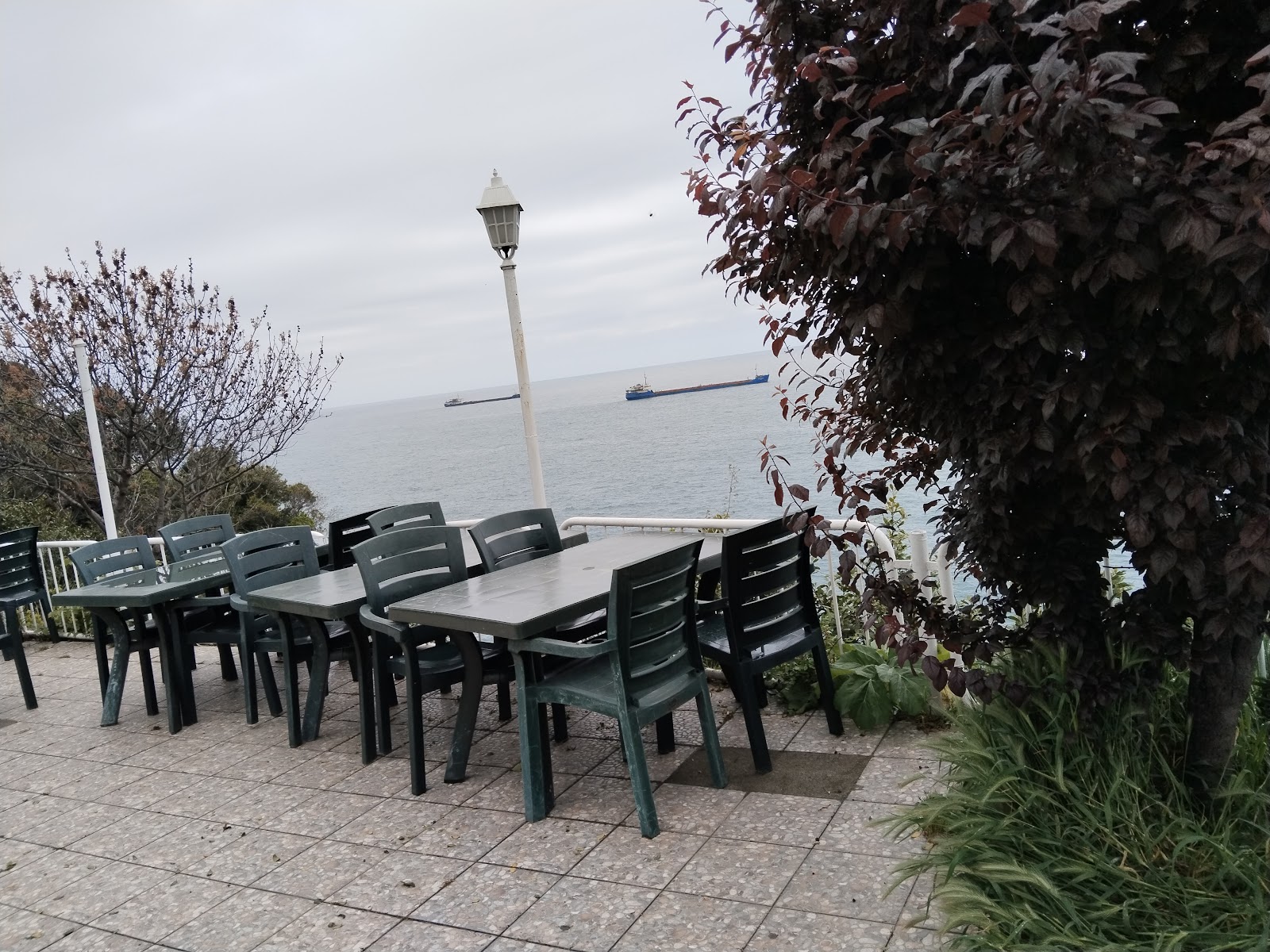 Zonguldak Tabip Odası Lokali — fotoğraf