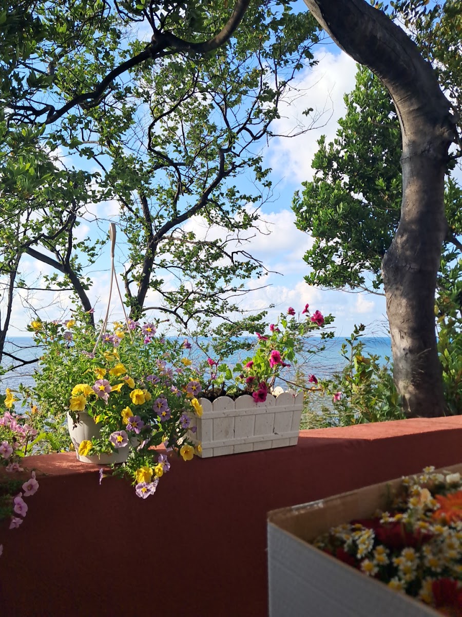 Zonguldak Tabip Odası Lokali — fotoğraf 2