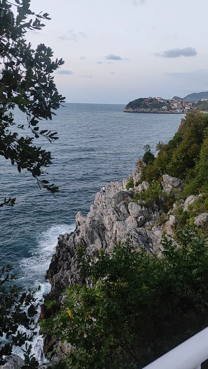 Zonguldak Tabip Odası Lokali — fotoğraf 3