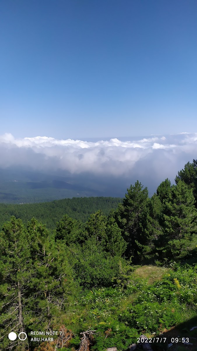 Zorkun — fotoğraf