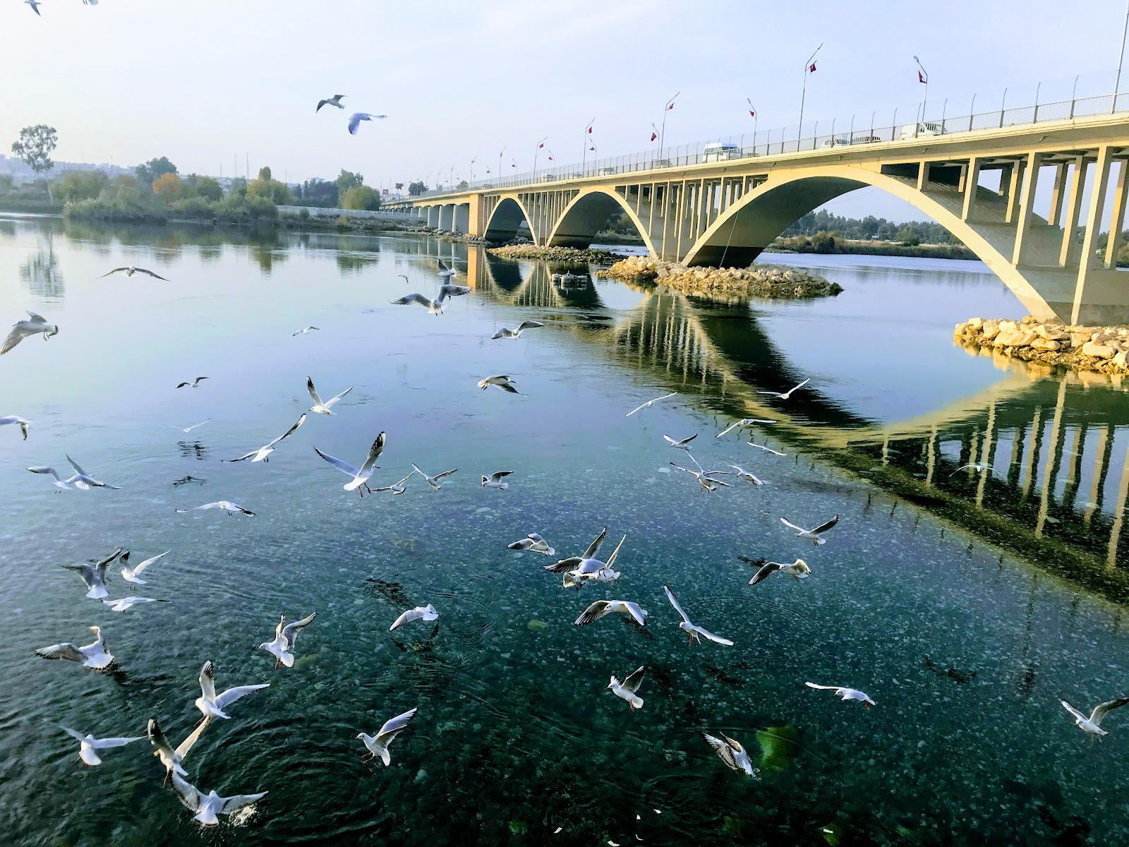 Zübeyde Hanım Parkı — fotoğraf